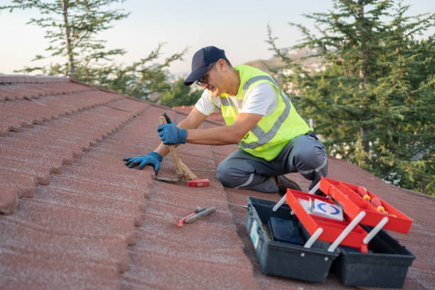 Sealant for Roof in Loudon, TN