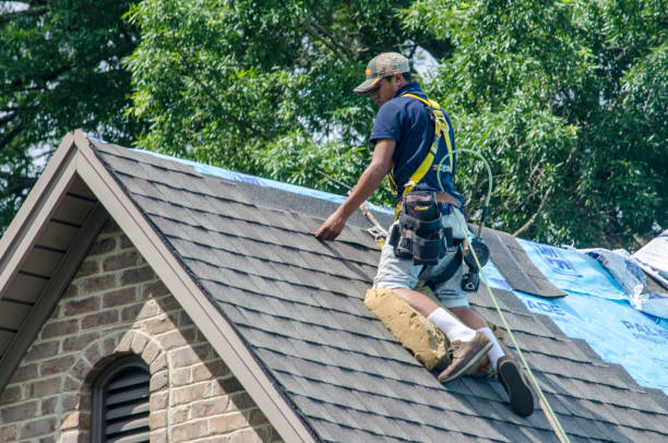 Quick and Trustworthy Emergency Roof Repair Services in Loudon, TN